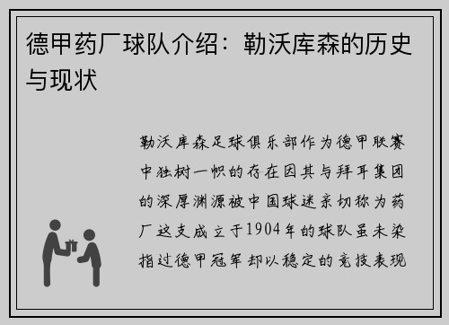 德甲药厂球队介绍：勒沃库森的历史与现状